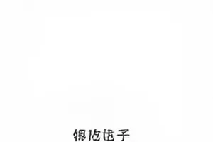票务系统崩溃夜话题封面，购票排队页面卡顿示意